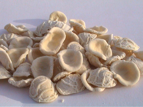 orecchiette: 2. obrázek